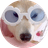IRO