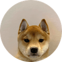 It's just a Dog