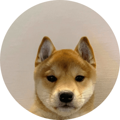 It's just a Dog logo