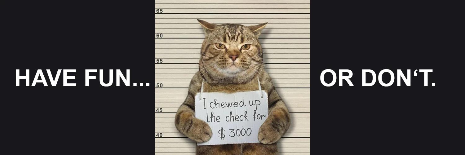 Jail Cat banner