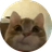 jeff