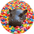 JELLYBEAN