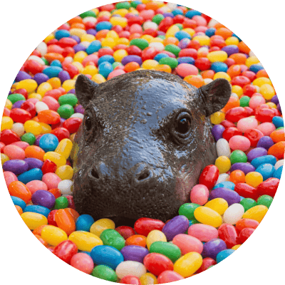 JELLYBEAN logo