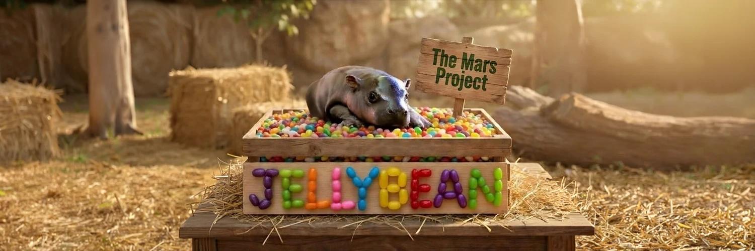 JELLYBEAN banner