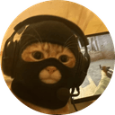 Jimi The Cat 