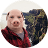 John Pork