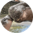 Jonah