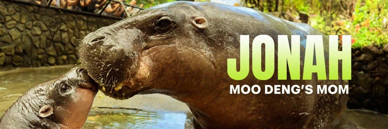 Jonah banner
