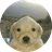 Jotchua