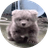 JUNJUN