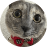 Just Elizabeth Cat