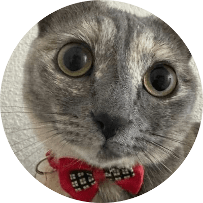 Just Elizabeth Cat logo