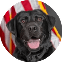 K9 Crypto Agent