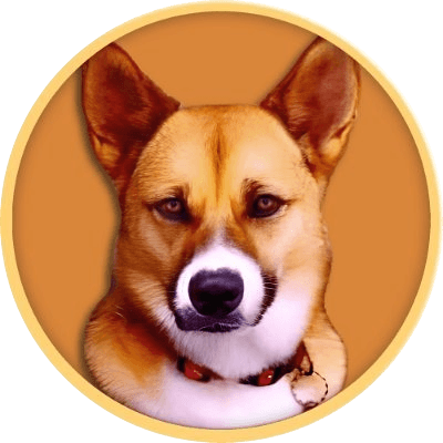 Ken logo