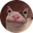 ket