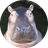 KHAMOO