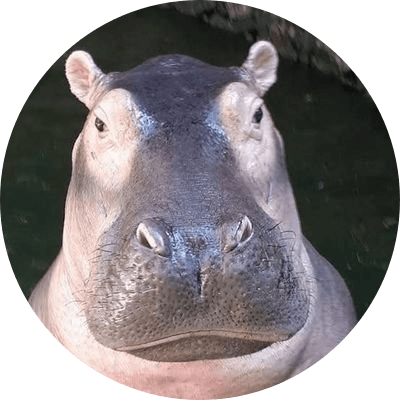 Kha Moo logo