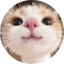 kitty