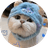 $KITTY