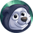 KNUT
