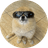 KORI