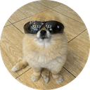Kori The Pom
