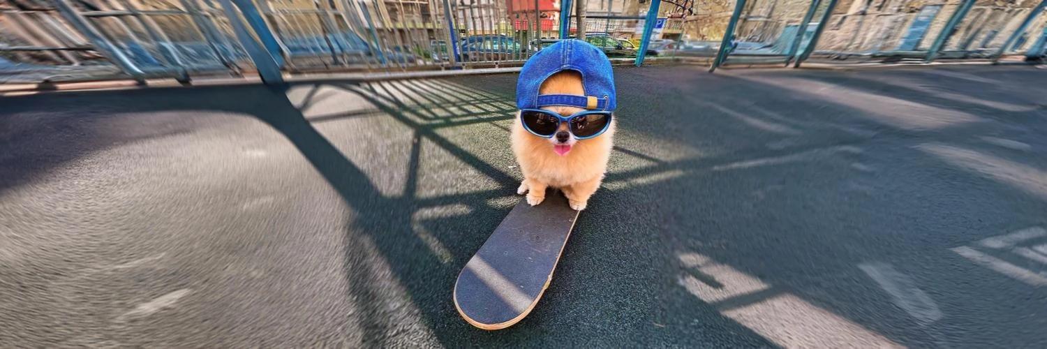 Kori The Pom banner