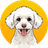 Korico
