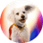 KRYPTO