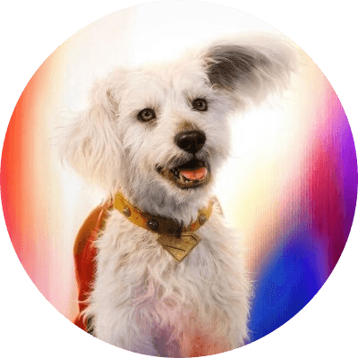 KRYPTO the Superdog logo