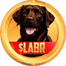 Labrador