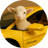 Lambo