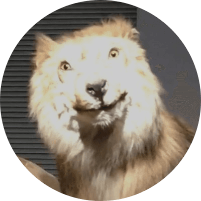 Lawn Rar logo