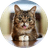 BUB