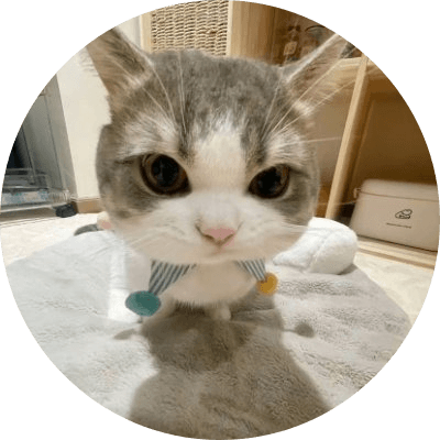 Lily The Cat logo
