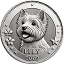 Lily's Coin