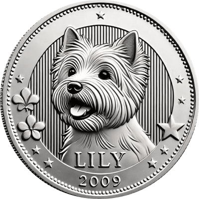 Lily's Coin logo