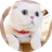 Erdou