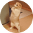 LOLCAT
