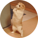 Lolcat