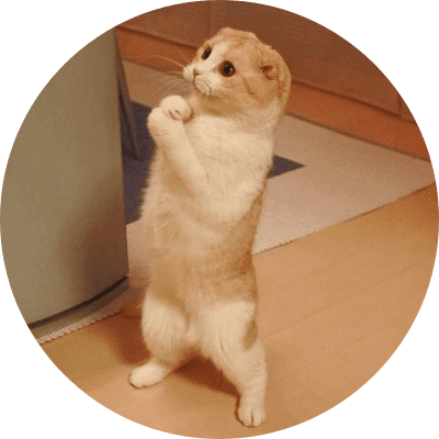 Lolcat logo