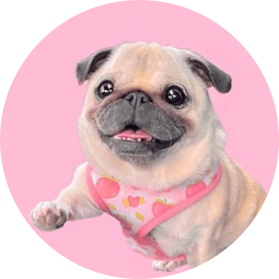 loulou logo