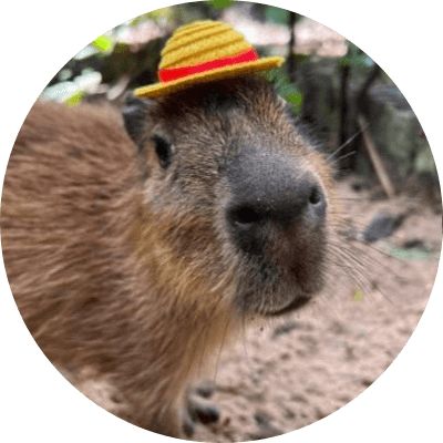 Luffy logo