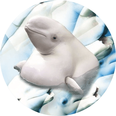 Luga logo