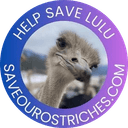 Lulu The Ostrich
