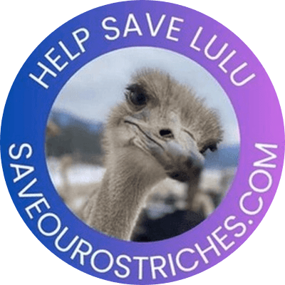 Lulu The Ostrich logo