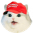 MAGA