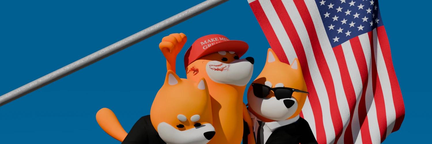 Make memes great again banner