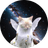 MANIFEST