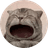 maow